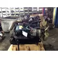 INTERNATIONAL VT365 Engine Assembly thumbnail 2