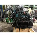 INTERNATIONAL VT365 Engine Assembly thumbnail 4