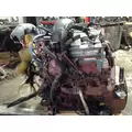 INTERNATIONAL VT365 Engine Assembly thumbnail 3