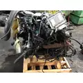 INTERNATIONAL VT365 Engine Assembly thumbnail 2