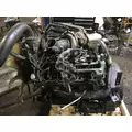 INTERNATIONAL VT365 Engine Assembly thumbnail 2