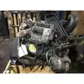 INTERNATIONAL VT365 Engine Assembly thumbnail 4