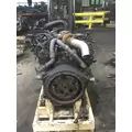 INTERNATIONAL VT365 Engine Assembly thumbnail 3