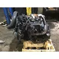 INTERNATIONAL VT365 Engine Assembly thumbnail 4