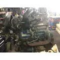 INTERNATIONAL VT365 Engine Assembly thumbnail 2