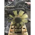 INTERNATIONAL VT365 Engine Assembly thumbnail 3