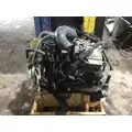 INTERNATIONAL VT365 Engine Assembly thumbnail 4