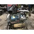 INTERNATIONAL VT365 Engine Assembly thumbnail 3