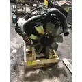 INTERNATIONAL VT365 Engine Assembly thumbnail 2