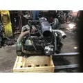 INTERNATIONAL VT365 Engine Assembly thumbnail 3