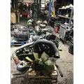 INTERNATIONAL VT365 Engine Assembly thumbnail 2