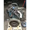 INTERNATIONAL VT365 Engine Assembly thumbnail 4