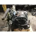 INTERNATIONAL VT365 Engine Assembly thumbnail 5