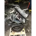 INTERNATIONAL VT365 Engine Assembly thumbnail 3