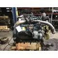 INTERNATIONAL VT365 Engine Assembly thumbnail 1