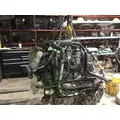 INTERNATIONAL VT365 Engine Assembly thumbnail 11