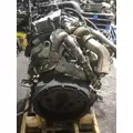 INTERNATIONAL VT365 Engine Assembly thumbnail 4