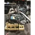 INTERNATIONAL VT365 Engine Assembly thumbnail 4