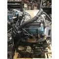 INTERNATIONAL VT365 Engine Assembly thumbnail 4