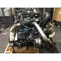 INTERNATIONAL VT365 Engine Assembly thumbnail 3