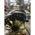 INTERNATIONAL VT365 Engine Assembly thumbnail 4