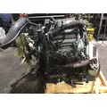 INTERNATIONAL VT365 Engine Assembly thumbnail 4