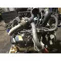 INTERNATIONAL VT365 Engine Assembly thumbnail 4