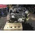 INTERNATIONAL VT365 Engine Assembly thumbnail 2