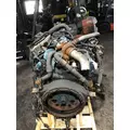 INTERNATIONAL VT365 Engine Assembly thumbnail 3