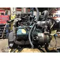 INTERNATIONAL VT365 Engine Assembly thumbnail 2