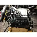 INTERNATIONAL VT365 Engine Assembly thumbnail 5