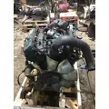 INTERNATIONAL VT365 Engine Assembly thumbnail 1