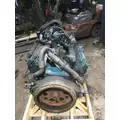 INTERNATIONAL VT365 Engine Assembly thumbnail 3