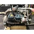 INTERNATIONAL VT365 Engine Assembly thumbnail 3