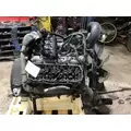 INTERNATIONAL VT365 Engine Assembly thumbnail 2