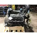 INTERNATIONAL VT365 Engine Assembly thumbnail 2