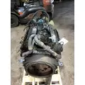 INTERNATIONAL VT365 Engine Assembly thumbnail 3