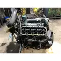 INTERNATIONAL VT365 Engine Assembly thumbnail 4