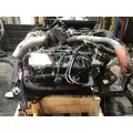 INTERNATIONAL VT365 Engine Assembly thumbnail 1