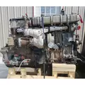 INTERNATIONAL VT365 Engine Assembly thumbnail 1
