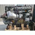 INTERNATIONAL VT365 Engine Assembly thumbnail 1