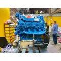 INTERNATIONAL VT365 Engine Assembly thumbnail 3