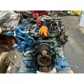 INTERNATIONAL VT365 Engine Assembly thumbnail 7