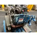 INTERNATIONAL VT365 Engine Assembly thumbnail 9