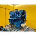 INTERNATIONAL VT365 Engine Assembly thumbnail 6