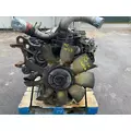 INTERNATIONAL VT365 Engine Assembly thumbnail 2