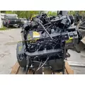 INTERNATIONAL VT365 Engine Assembly thumbnail 3