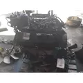 INTERNATIONAL VT365 Engine Assembly thumbnail 2