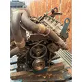 INTERNATIONAL VT365 Engine Assembly thumbnail 1