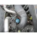 INTERNATIONAL VT365 Engine Assembly thumbnail 7